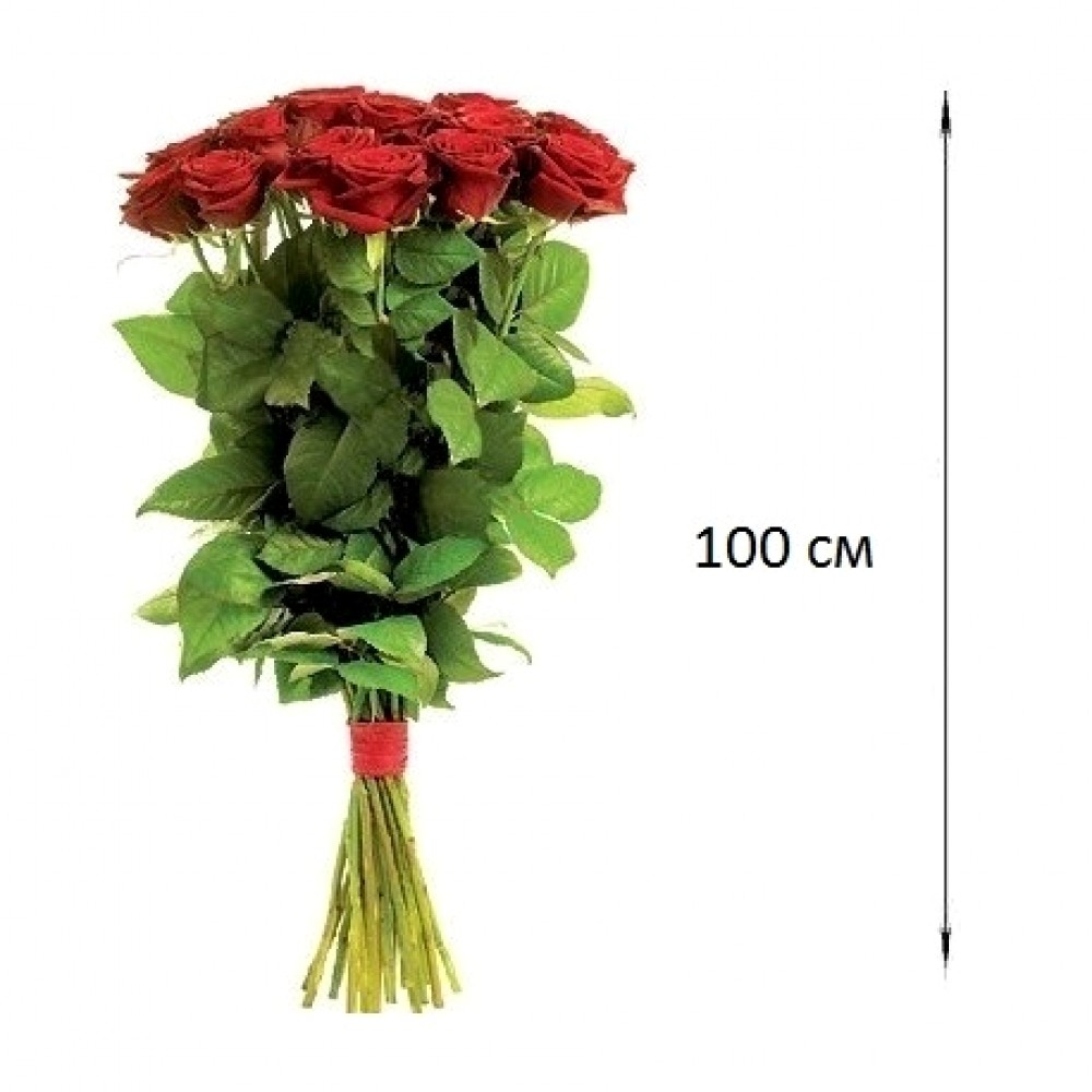 Роза 100 см красная