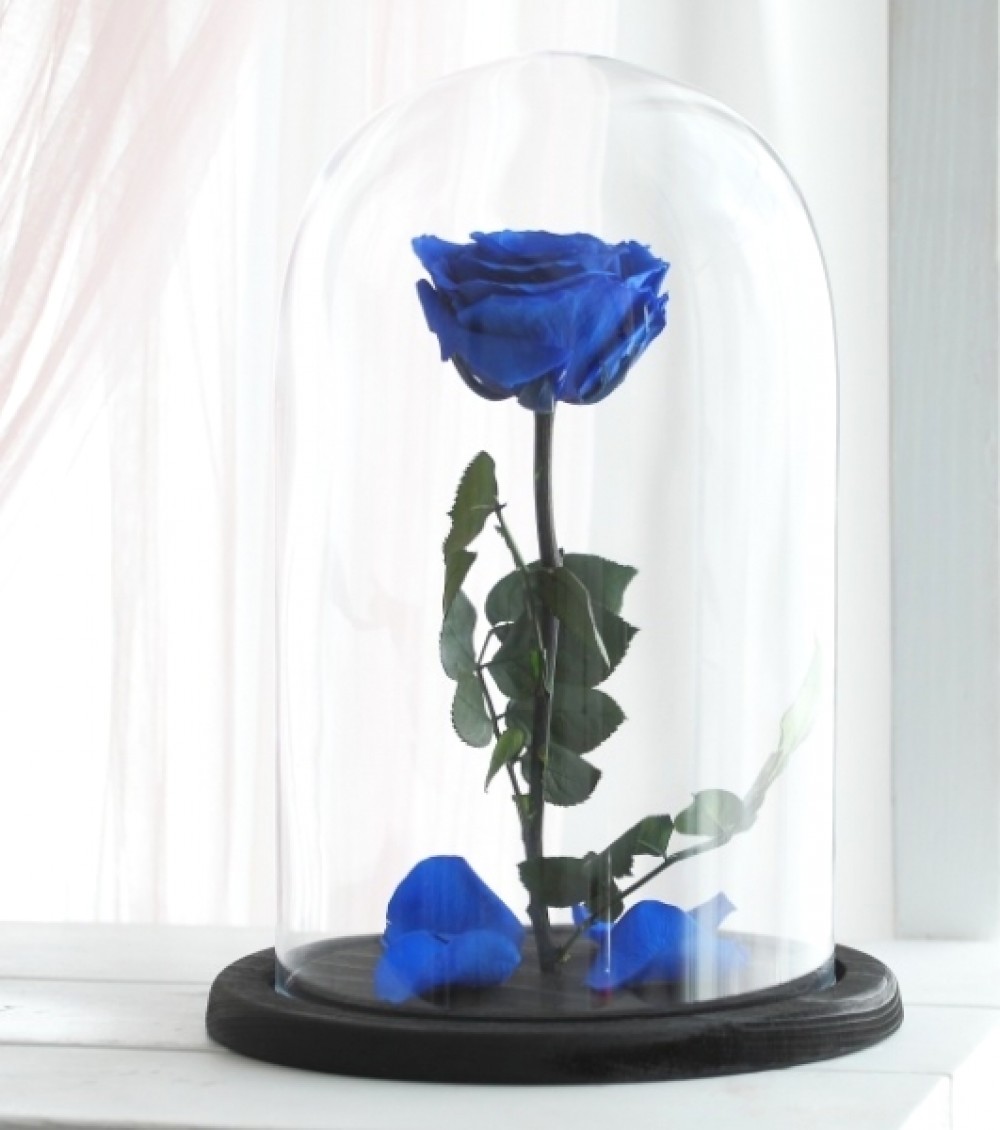 Долгосвежая роза в колбе синяя