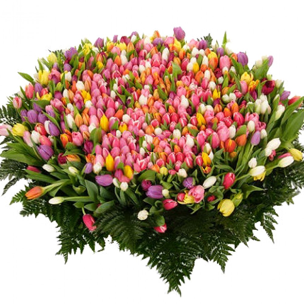 Корзина из 501 разноцветного тюльпана